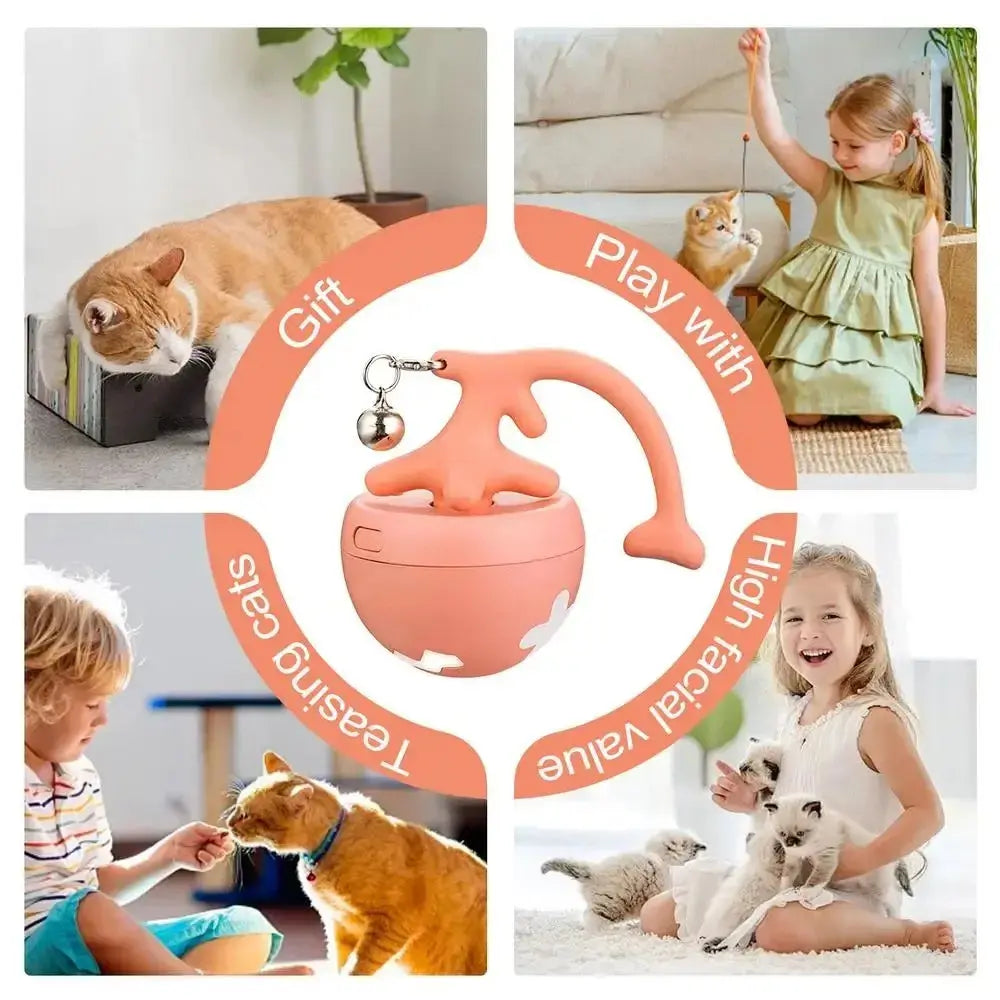Smart Rolling Cat Toy Ball - Cozy & Clever