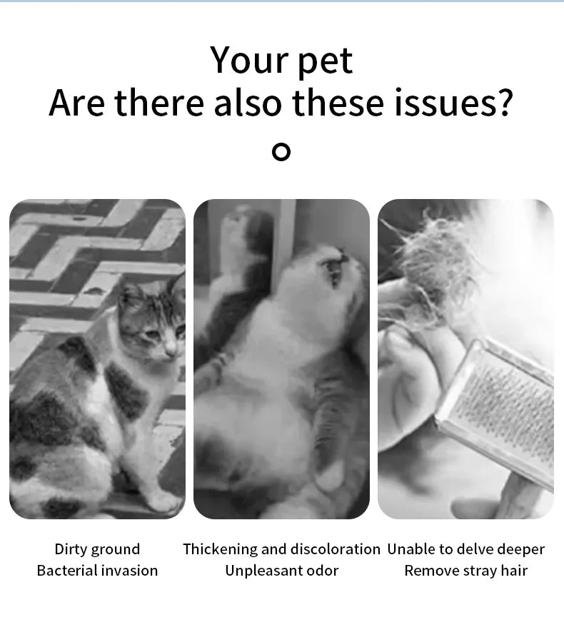 Self-Cleaning Mist Cat Brush - Cozy & Clever