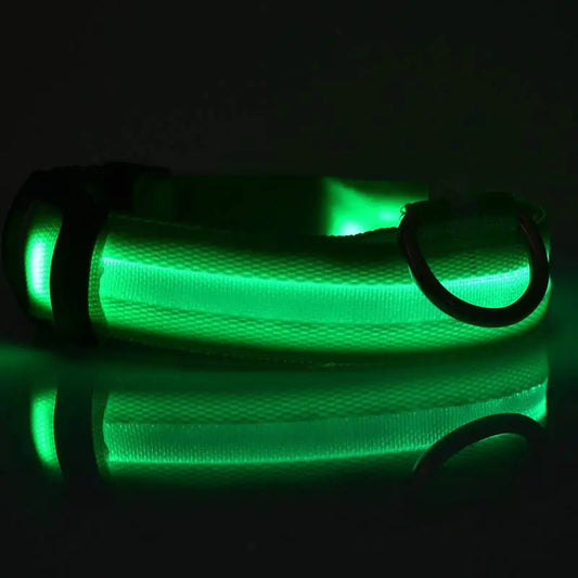 Light-Up LED Dog Collar for Night Walks - Cozy & Clever