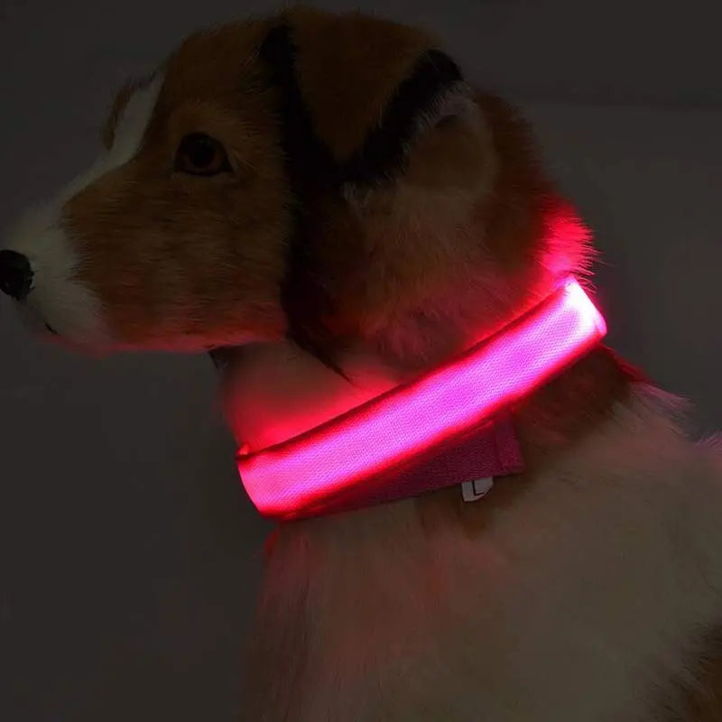 Light-Up LED Dog Collar for Night Walks - Cozy & Clever