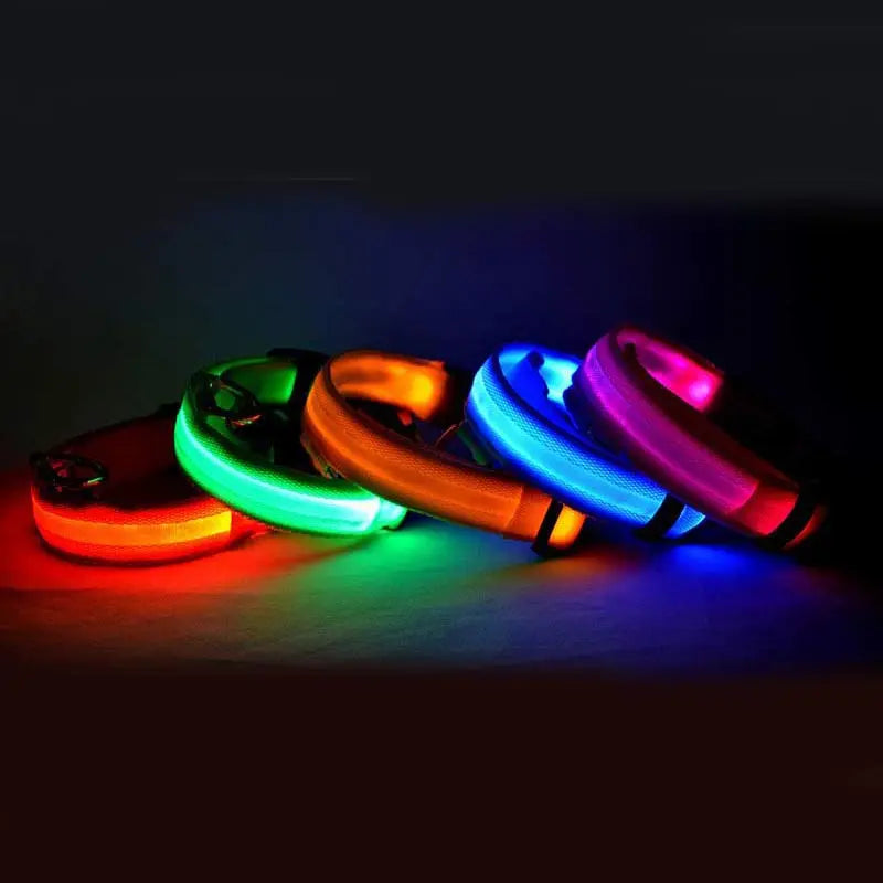 Light-Up LED Dog Collar for Night Walks - Cozy & Clever