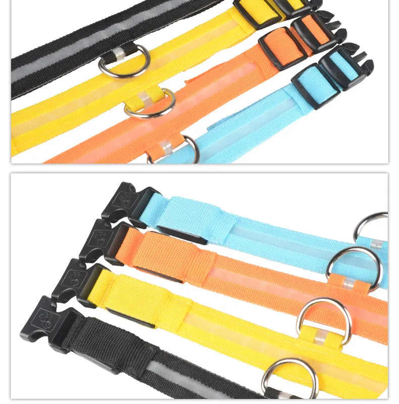 Light-Up LED Dog Collar for Night Walks - Cozy & Clever