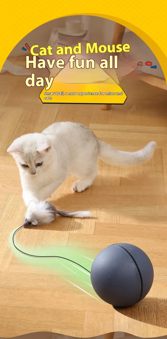Mouse-Tail Cat Teaser Ball Toy - Cozy & Clever