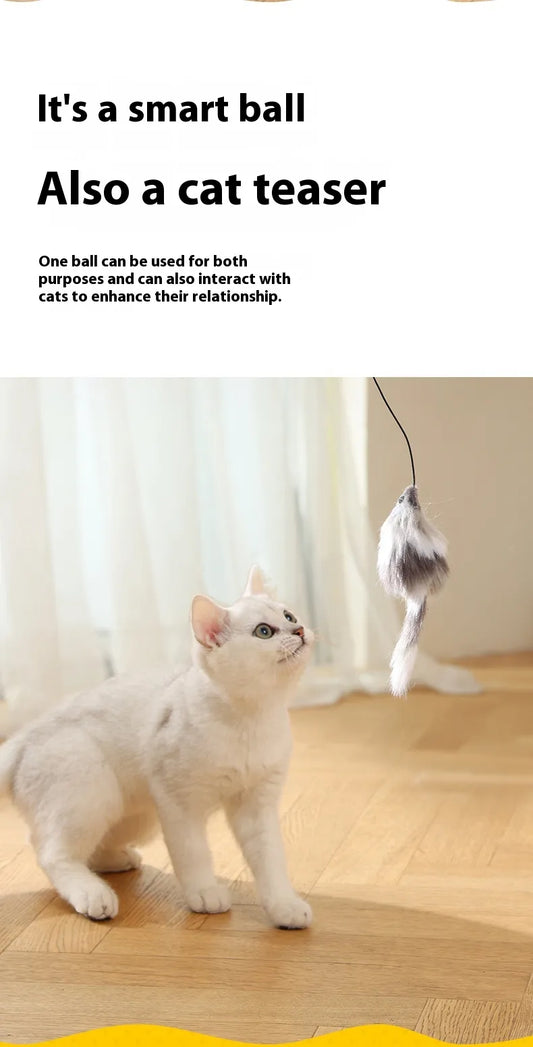 Mouse-Tail Cat Teaser Ball Toy - Cozy & Clever