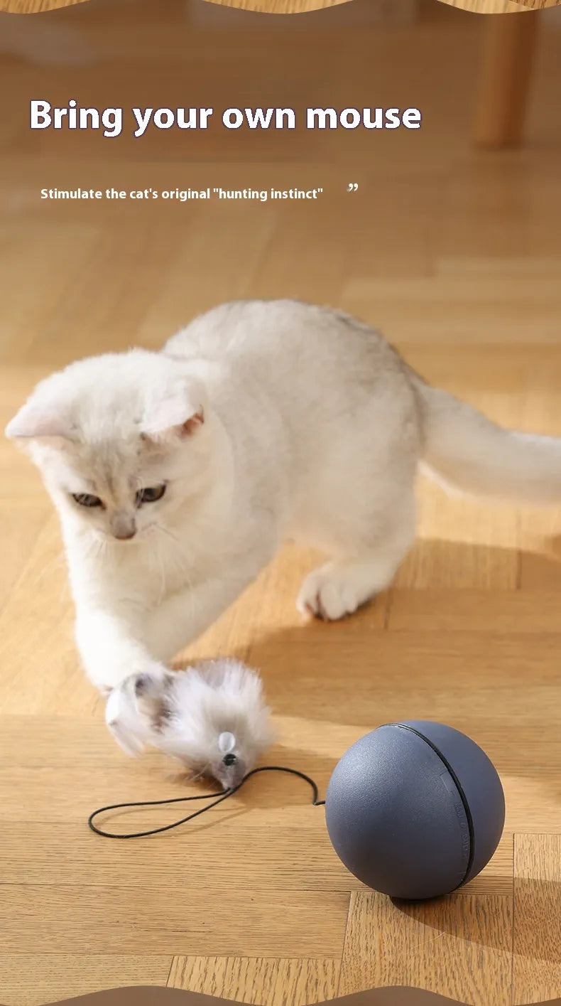 Mouse-Tail Cat Teaser Ball Toy - Cozy & Clever