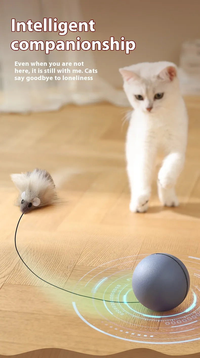 Mouse-Tail Cat Teaser Ball Toy - Cozy & Clever