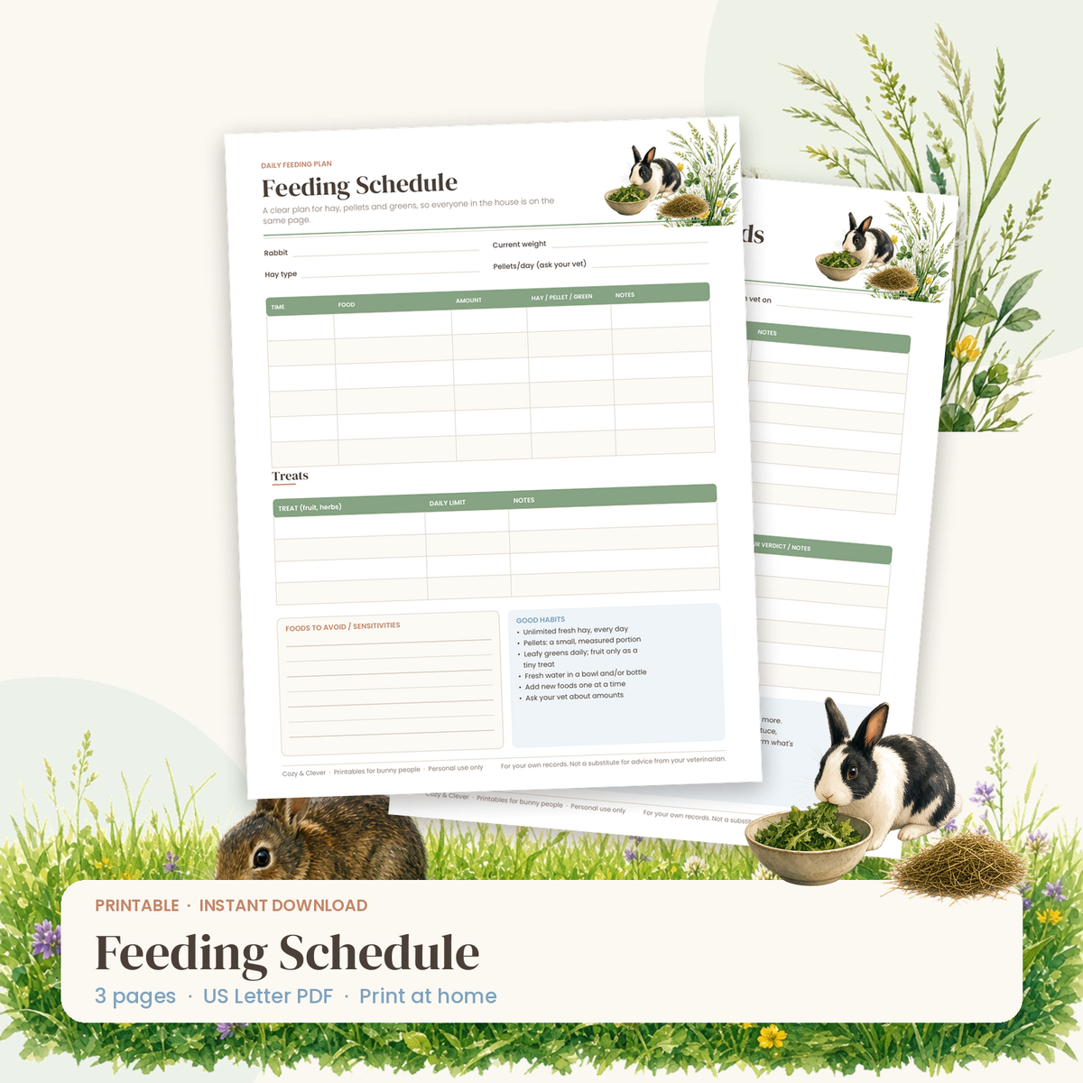 Rabbit Feeding Schedule printable preview