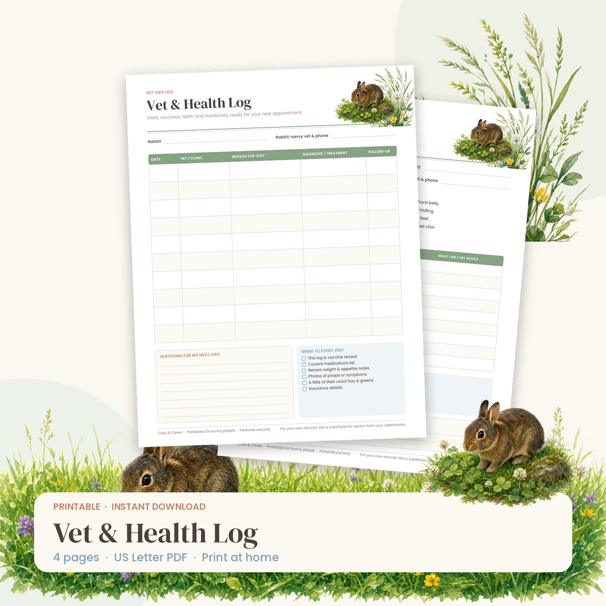 Rabbit Vet & Health Log printable preview